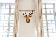 能够看看江西腾坤